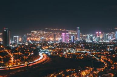 giấy phép New88